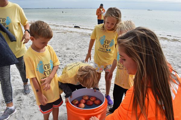 Clues Challenges And More For Scavenger Hunt News Sports Jobs Sanibel Captiva Island 7739